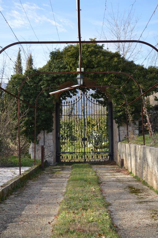 Tenuta Torellone San Potito Sannitico Exteriör bild