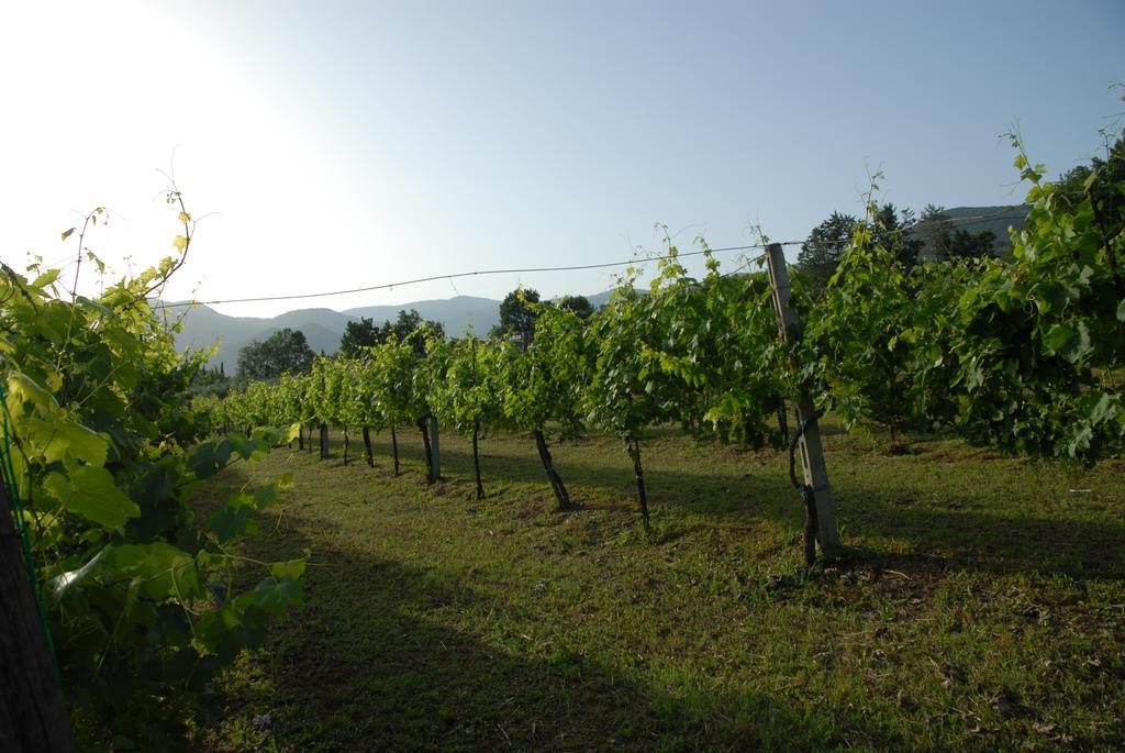Tenuta Torellone San Potito Sannitico Exteriör bild